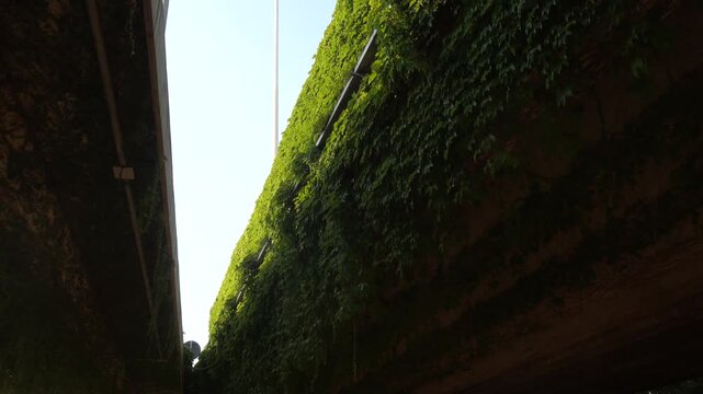 Cagliari, Sardinia, Italy An overgrown overpass on the Asse Mediano di Scorrimento highway. 
