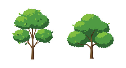 Fototapeta premium Two Cartoon Trees with Green Foliage on a White Background Illustration