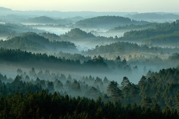 Misty mountain range, dense forests