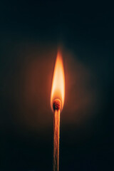 Burning Matchstick in Dramatic Lighting