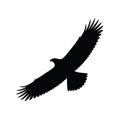 Black silhouette of a soaring eagle with wings spread