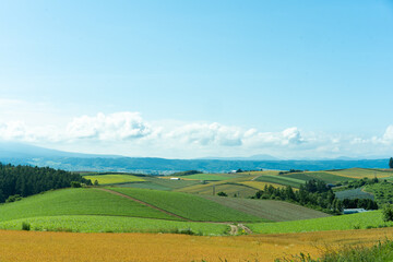北海道　初夏の富良野・美瑛の丘