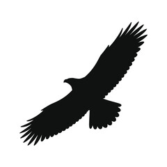 Silhouette of a bird of prey in flight with wings spread