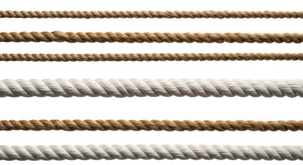 Three thick white braided and four thin brown natural ropes, horizontally arranged with distinct textures on a pristine high-key studio background, concept of robust partnerships