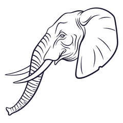 elephant vector illustration