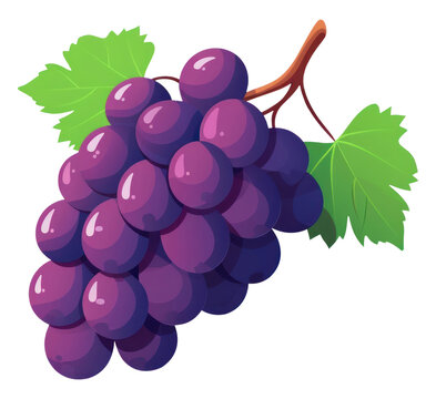 purple grapes bunch with green leaves clip art preview