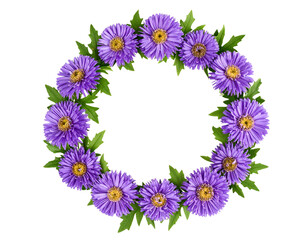 Single Stem Purple Aster with Lush Green Leaves, Minimalist Top View, isolated on transparent background (2)