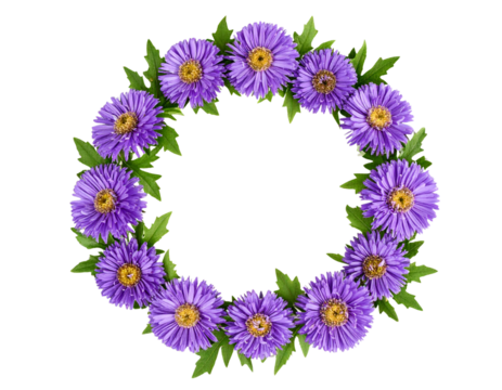Single Stem Purple Aster with Lush Green Leaves, Minimalist Top View, isolated on transparent background (2)