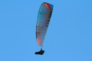 paraglider
