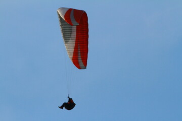 paraglider