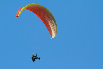 paraglider