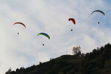 paraglider