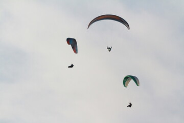 paraglider