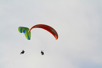 paraglider