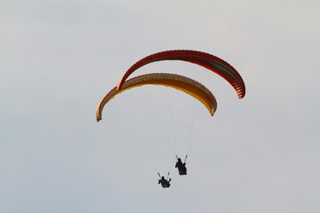 paraglider