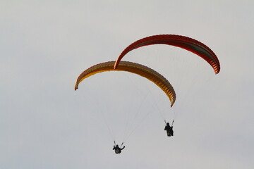 paraglider