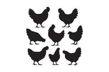Silhouette of hen, Set of hen cartoon  of different shapes,  Animels vector illustration, Collection of Hand Drawn pet icons on white background.