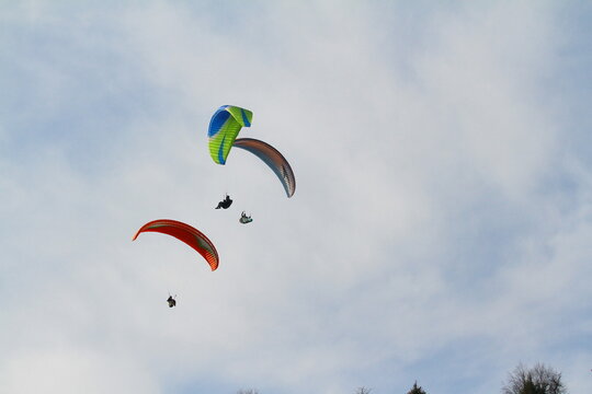 paraglider