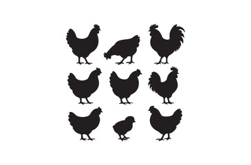 Silhouette of hen, Set of hen cartoon  of different shapes,  Animels vector illustration, Collection of Hand Drawn pet icons on white background.