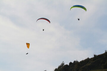 paraglider