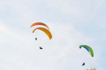 paraglider
