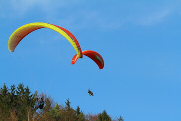 paraglider