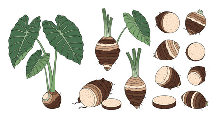 Fresh taro root vegetables and edible leaves for healthy cooking and nutrition