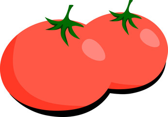 tomato vector illustration