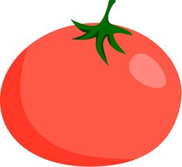 tomato vector illustration