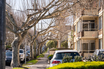 Residential street with parked cars and mid-century apartment buildings in the inner suburb of Elwood, Melbourne, Australia, featuring a row of large trees with bare branches in winter.