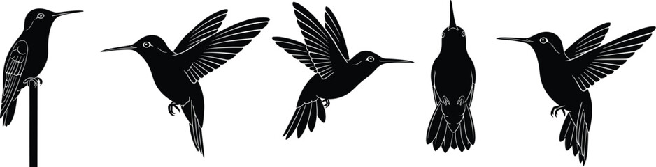 Obraz premium Hummingbird silhouette, flying bird, perched bird, nature vector, wildlife illustration, black and white, animal graphic, design art, stock image, minimal style