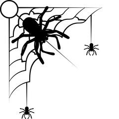 Halloween Spider Corner