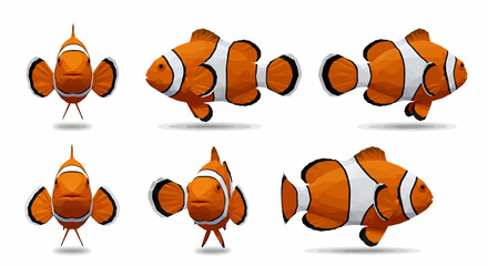 Fototapeta premium A set of six clownfish illustrations showing the fish from different angles and perspectives.