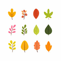 Diverse collection of illustrated leaves in various shapes and fall colors against a white background Simple botanical elements