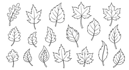 Doodle vector leaves in diverse shapes and sizes, perfect for autumn crafting and design projects