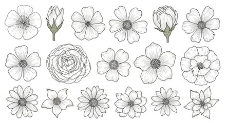 Elegant floral doodle vector set A collection of various flower illustrations for designs