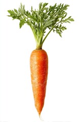 Single fresh carrot with green leaves