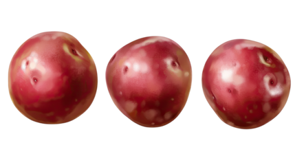 Fresh red potatoes with natural skin texture and organic appearance isolated on white background
