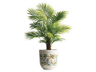 Fototapeta premium Lush green palm tree in a decorative pot a vibrant indoor isolated on transparent background png