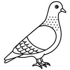 dove of peace