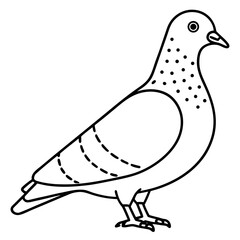 Fototapeta premium vector illustration of a pigeon