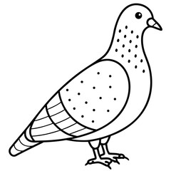 vector illustration of a bird