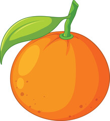 vector illustration of orange