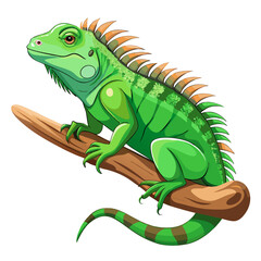 chameleon on a branch