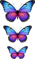 An elegant, repeating pattern of three vibrant butterflies with a striking pink-to-blue gradient on their symmetrical wings.