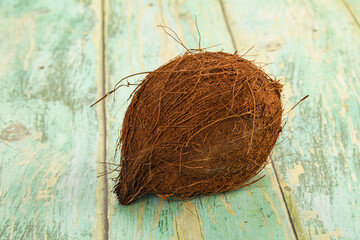 Tropical exotic brown haired coconut