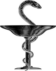 Bowl of Hygeia Snake Medical Pharmacist Icon