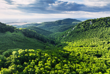 Forest nature landcape with peak and sun at dramatic sunset, Slovakia - Carpathian