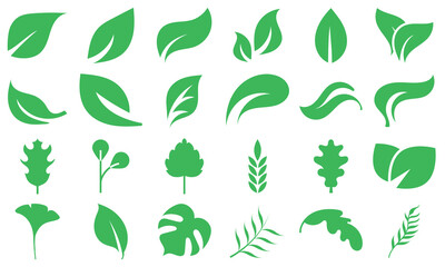 Leaf  vector icon. Nature design collection includes various leaf shapes perfect for eco, organic. Pictograms and infographics for mobile apps. vector illustration.	