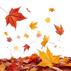 Obraz premium Autumn's Gentle Descent: A collection of vividly colored autumn leaves gracefully cascade down, with vibrant hues of red, yellow, and orange, symbolizing the transient beauty of the season.